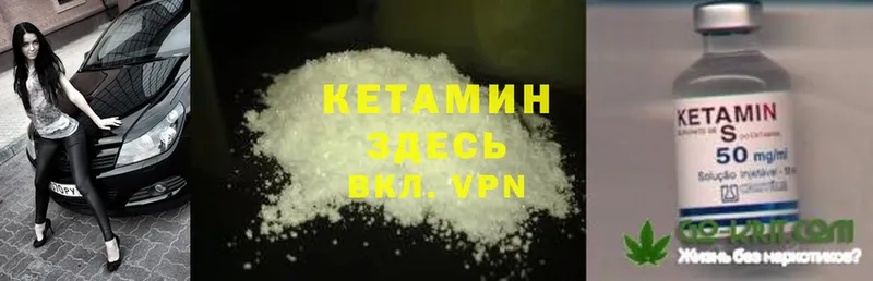 Где купить наркотики Городец Cocaine  МЕФ  MDMA  Псилоцибиновые грибы  Марихуана  ГАШ 