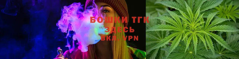 Бошки Шишки THC 21%  где найти   Городец 